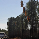 Lake Wylie Home Project May Have To Be Put On Hold