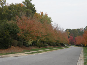 Landing-Street-View1