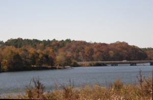 Windswept-Cove-Lake-View